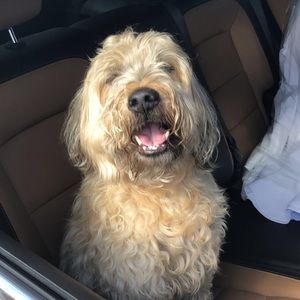 Meet your Posher, Kathleen